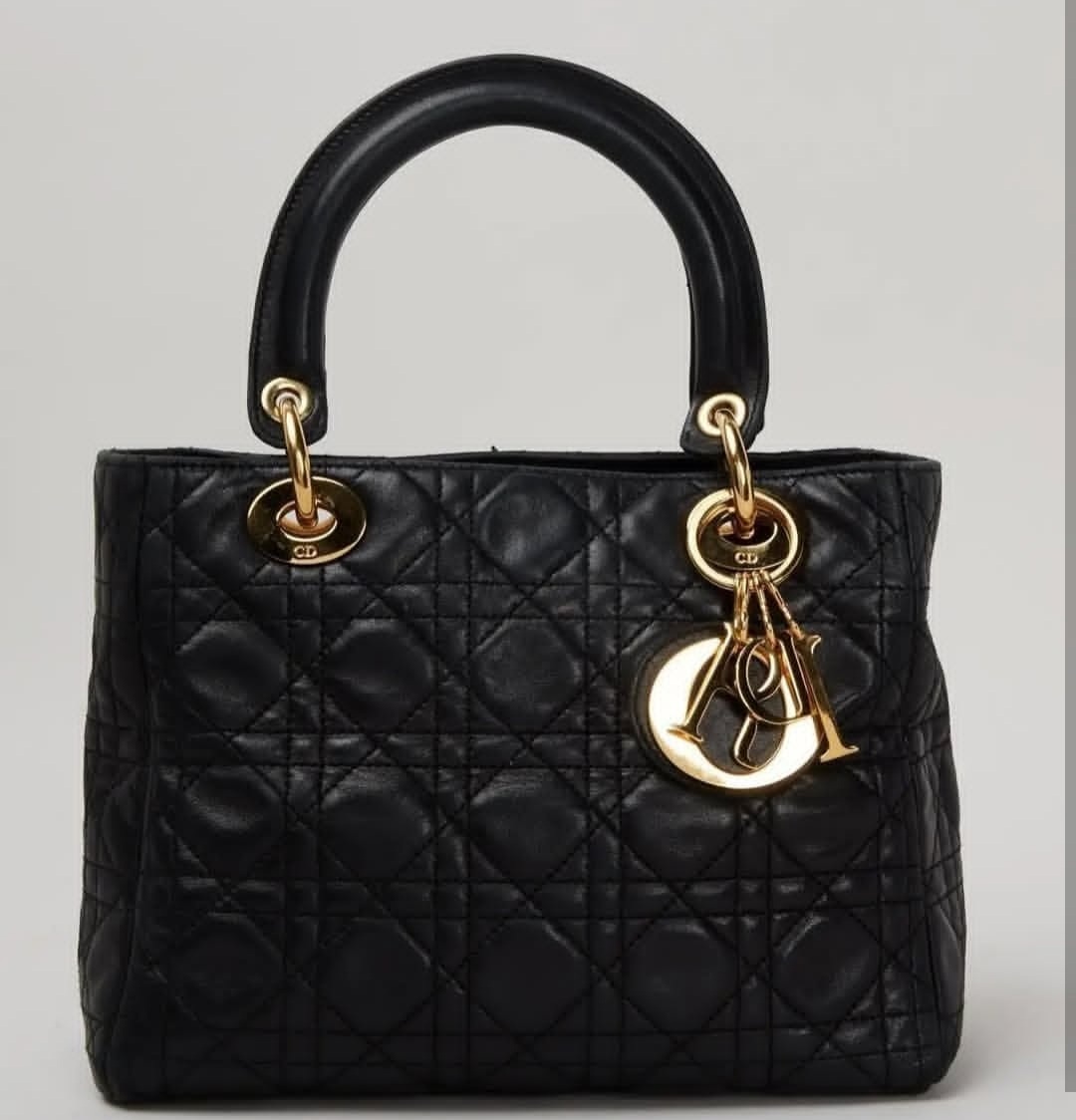 Signature Dior Bag