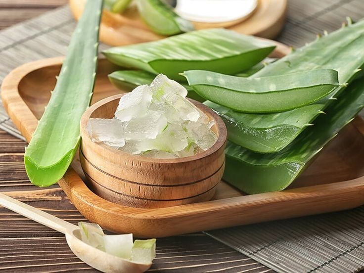 Aloe Vera 
