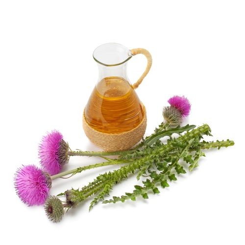Milk thistle tea